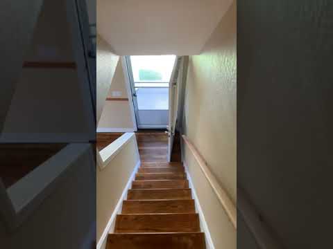 Allan Court - Video 2 of 2