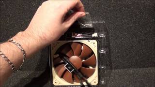 Noctua NF-P12 PWM - відео 1