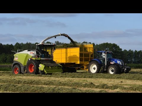 Claas Jaguar 980-type 498 - De Bruyne Agro - gras hakselen