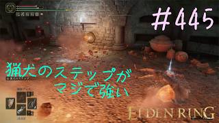 ♯445【今さら初見のELDEN RING】霧谷の地下墓、床メッセージに悪意があって翻弄されるも「よく考えれば気付くことだね」って休憩の大切さを再認識の巻
