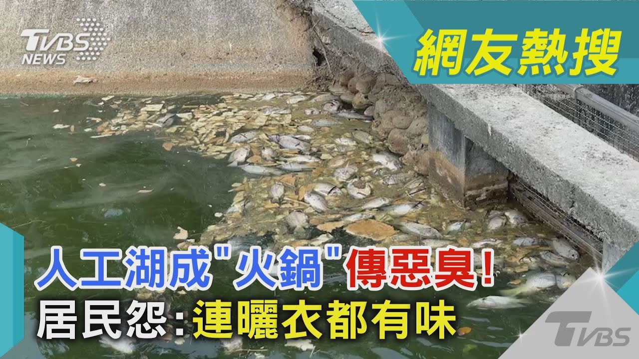 影音/人工湖成「火鍋」傳惡臭!居民怨:連曬衣都有味