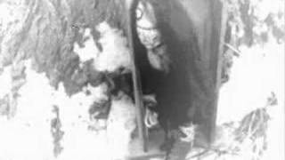 Rose- A Perfect Circle