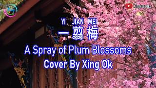 Download lagu Yi Jian Mei | Mandarin Song Cover mp3 Download lagu Yi Jian Mei | Mandarin Song Cover mp3