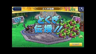 【どこパレ！】Lv２４ 特技伝授！最強ごうけつぐま育成最終段階　今まで応援ありがとう御座いました！