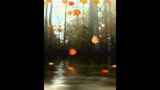 Falling You - Freefall (Faith)
