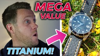 Boderry Sea Turtle Ocean. TITANIUM Auto For Only $139??! 
