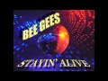 Stayin' Alive (Instrumental Cover) 