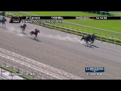 230430 c03 BASIL (ARG)