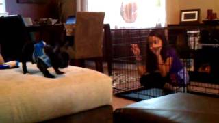 Sibling Rivalries Weezy vs Daphni