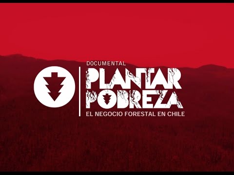 PLANTAR POBREZA, EL NEGOCIO FORESTAL EN CHILE - DOCUMENTAL