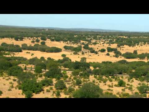 Formula 1 comes to America!   Red Bull Racing takes first lap in Texas