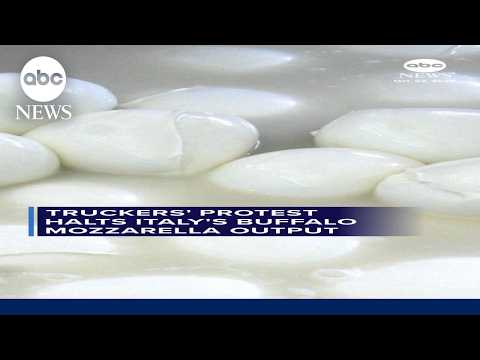 Truckers' protest halts Italy's buffalo mozzarella output