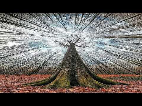 Harald Kindseth & Magnus JJ - Habitat (Nutia Remix)