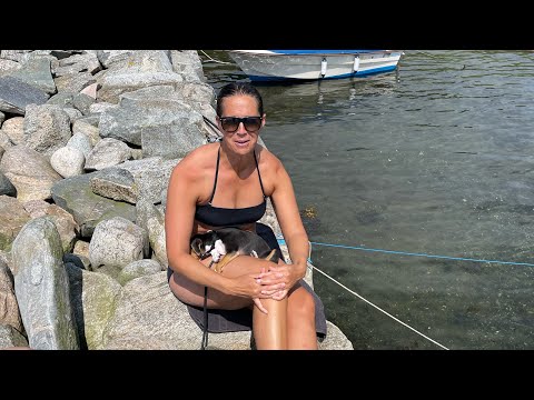 SVENSK SOMMAR #magsjuka #covid #sill