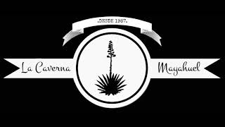 Rosendo - Todo lo que sigue