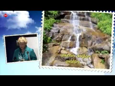 Türk Çay Kültürü   yazar Katharine Branning - Bir Fincan Aşk