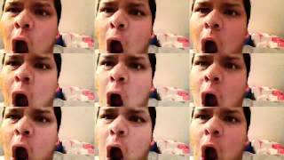 &quot;The Next Big Thing&quot; Fan Video