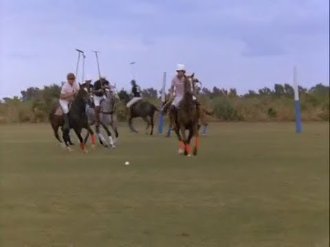 Miami Vice - Polo game