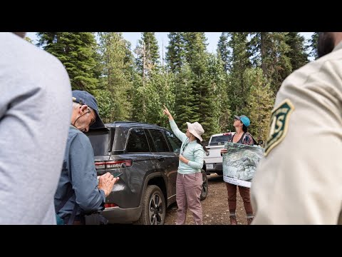 Ninth Forest Resilience Bond Launches: Yuba Aspen and Meadow I FRB