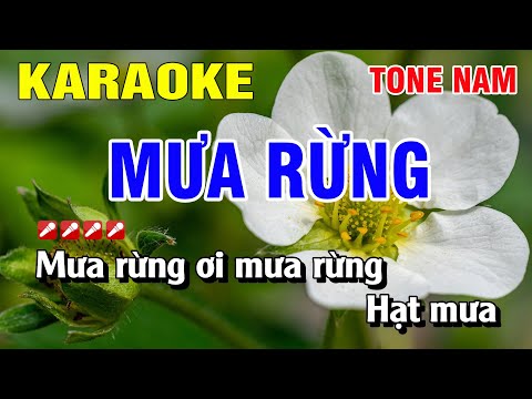 Karaoke Mưa Rừng Tone Nam Nhạc Sống | Nguyễn Linh