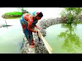 Beautiful Cast Net Fishing By Village Women Village Fishing 24