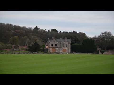 Sigma 60-600mm f4.5-6.3 sports focal range handheld.