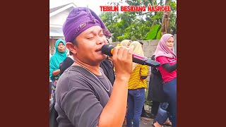 Download lagu Tebilin Besidang Nasroel mp3