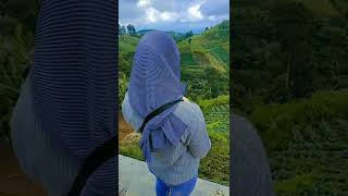 Download lagu mentahan halu story buat manasin mantan/prank temen😂#shorts #mentahanvideo #story mp3