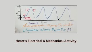 Electrical & Mechanical Activity of the Heart