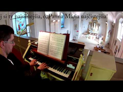 JKS 335 - Ja som si vyvolil (ein Marienlied)