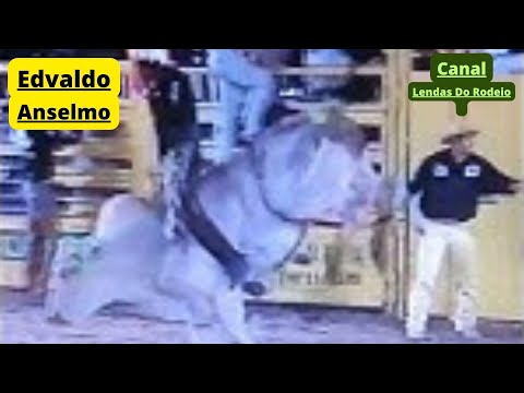 Edvaldo Anselmo (Paraguai) vs Pacato (Felipão)😃😃😃