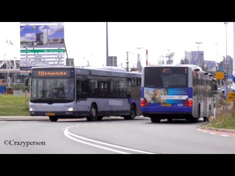 Bussen in Hoek van Holland
