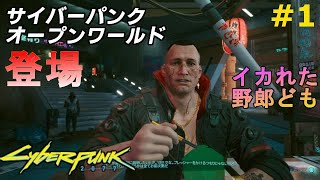 【サイバーパンク2077】#1 待望のFPSオープンワールドRPG。イカれた電脳世界を楽しむ、実況プレイ！！(ps4実況)  cyberpunk 2077