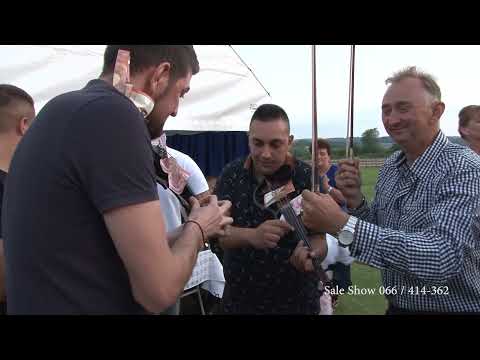 Mlada povela kolo 2 dan - Jovana i Nikola Jerinic