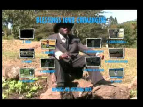 Blessings Chimangeni - Warning AVSEQ01