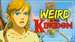 The Most WTF Legend of Zelda: Tears of the Kingdom Creations!