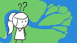 ¿Por qué los ríos tienen deltas?