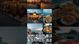 다낭으로 떠나다~