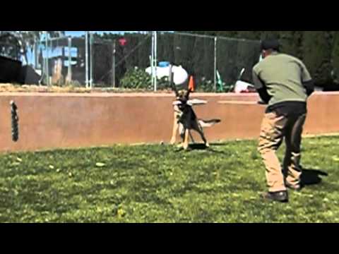 Protection Training - Chico 04.30.11