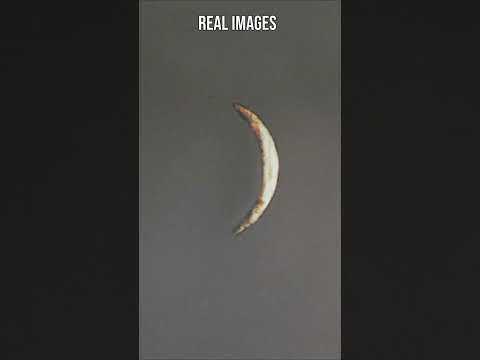 The First REAL Photos of Jupiter From Space #jupiter  #space #nasa  #solarsystem #astrophotography