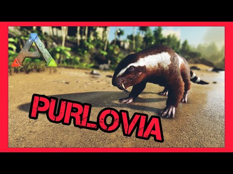 Purlovia Ark Mobile. Datos y características.