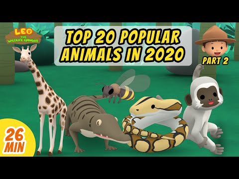 Top 20 Popular Animals in 2020 Minisode Compilation (Part 2/4) - Leo The Wildlife Ranger | Animation
