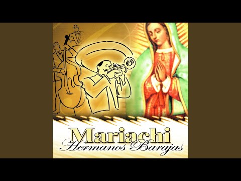 Buenos Dias Paloma Blanca