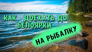 Ссылка