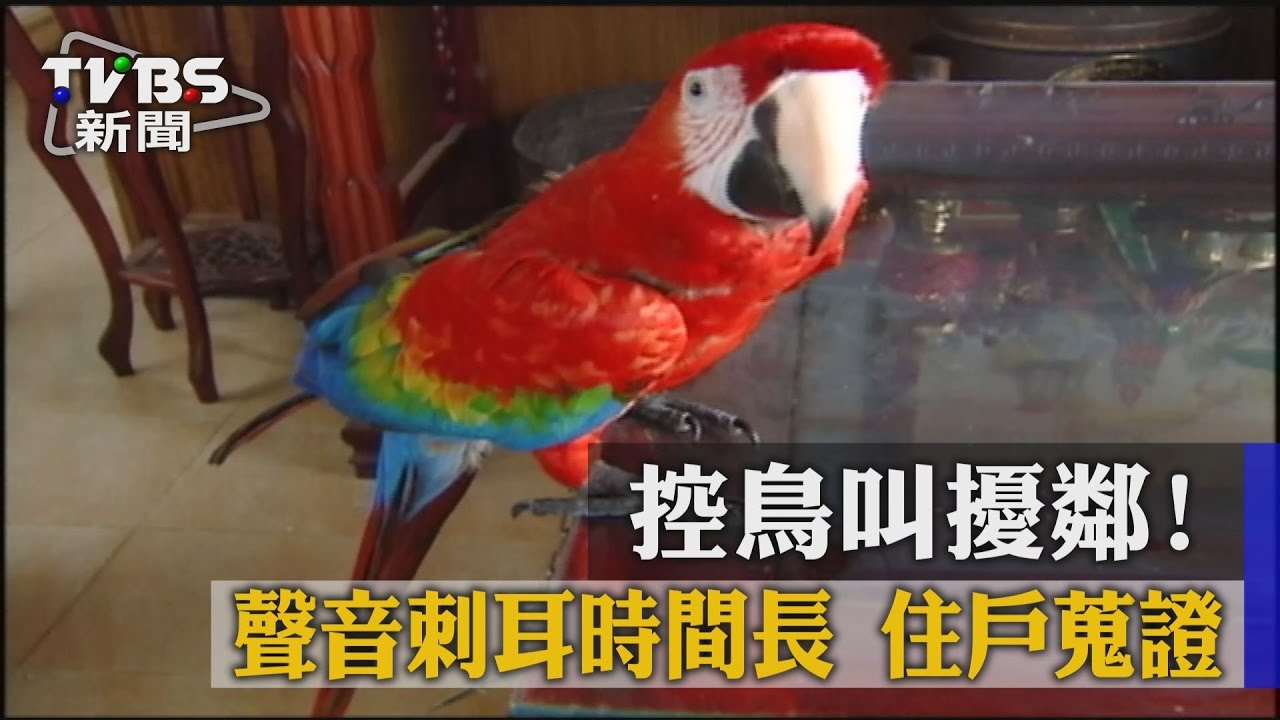 控鳥叫擾鄰!聲音刺耳時間長 住戶蒐證
