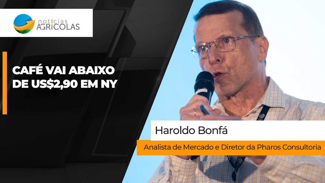 Bolsa de NY vai abaixo de US$2,90 nas cotações; mercado interno também sente dólar mais baixo