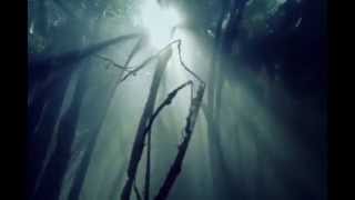 Falling Down - Marta Sanchez