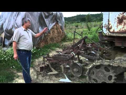 Paminturile d-lui Andrei   Vorniceni, Straseni