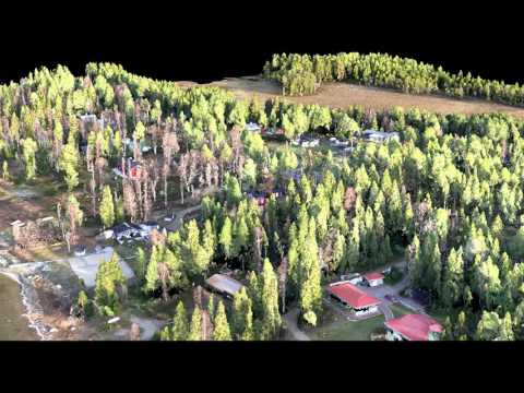 Photogrammetry point cloud of houses and forest