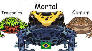 Cada Anfíbio Perigoso do Brasil Explicado em 11 Minutos
